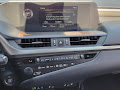 2019 Lexus ES 350 F Sport