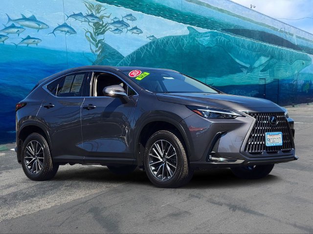 2024 Lexus NX 350h Premium