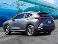 2024 Lexus NX 350h Premium