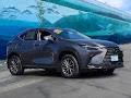 2024 Lexus NX 350h Premium